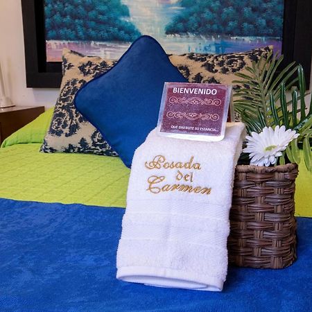 Hotel Posada Del Carmen 산루이스포토시주 외부 사진