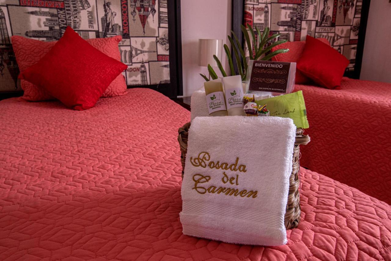 Hotel Posada Del Carmen 산루이스포토시주 외부 사진